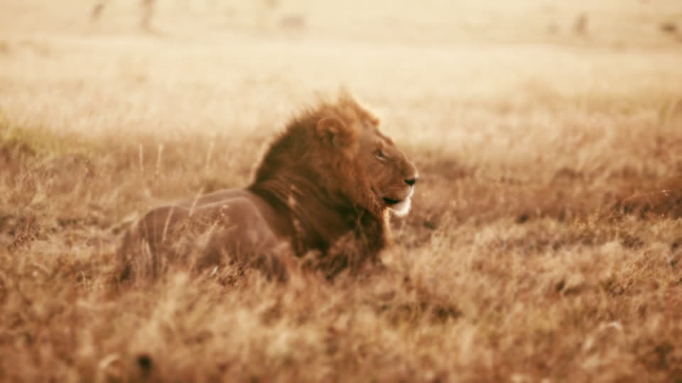 Imperfection - Heat Wave