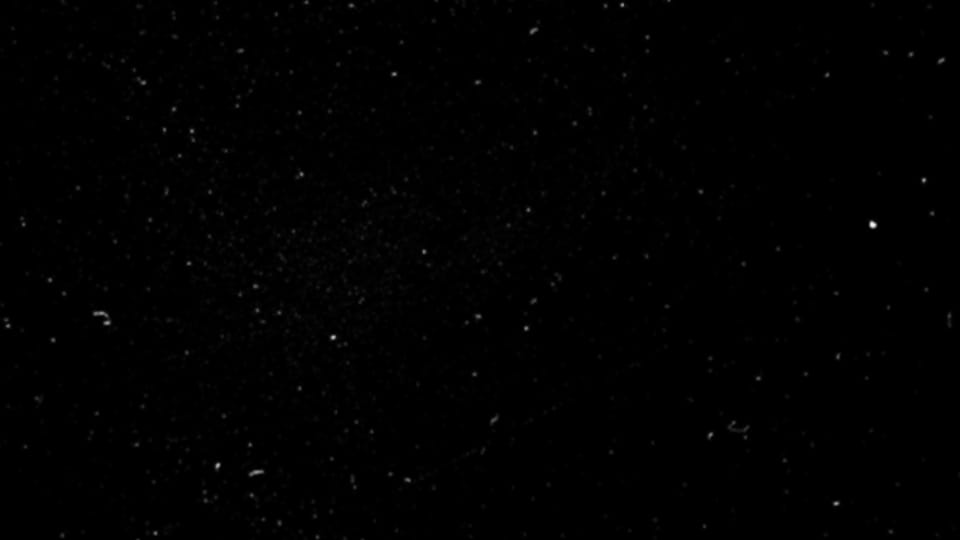 Texture - Dust Specks