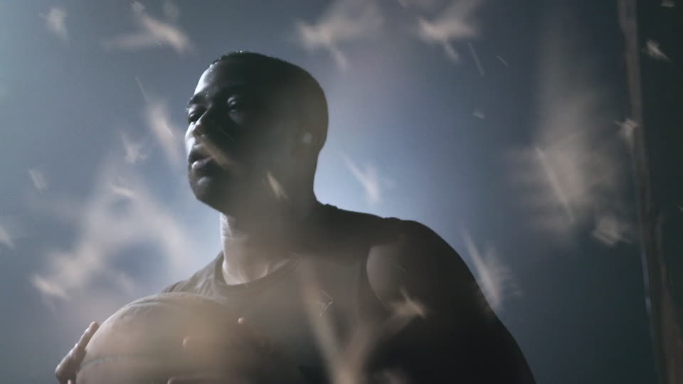 Dust - Raising Textured