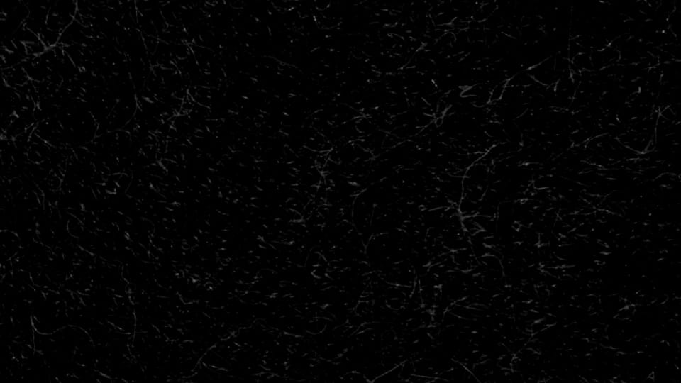 Texture - Scratched Fibers