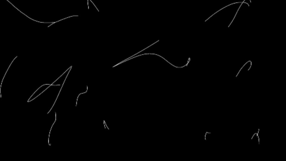 Scribble - Sparse Strokes