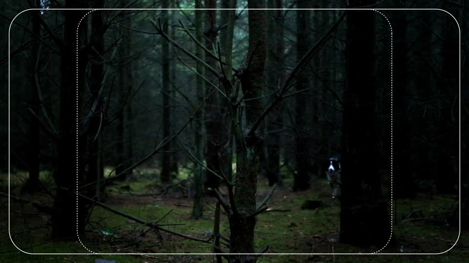 Details - Rounded Frames