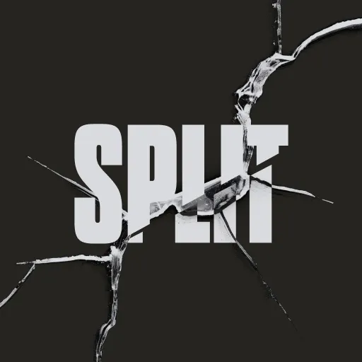 Split Transitions